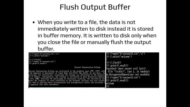Files and Exceptions in Python смотреть онлайн