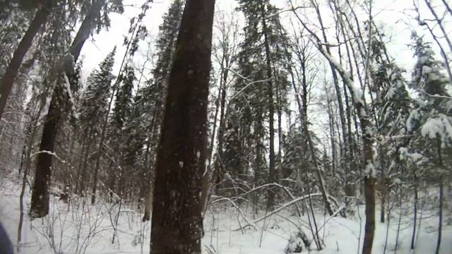 Охота с Эг Фаготом в Кировской области 25 01 2020 года. смотреть онлайн