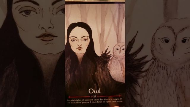 Seasons of the Witch Samhain Oracle walkthrough and card of the day reading смотреть онлайн