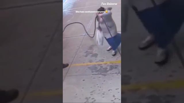 Бутики и котики