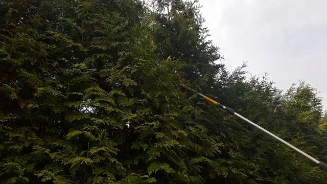 DeWALT 18V XR DCMPS567P1- Pilarka łańcuchowa Na Wysięgniku 4,5m