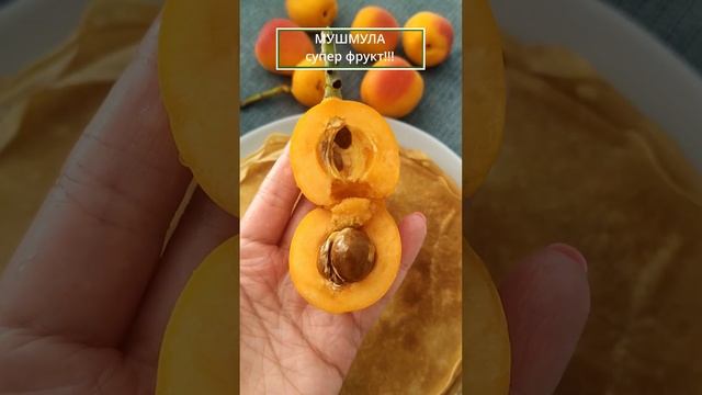 МУШМУЛА! ЭКЗОТИЧЕСКИЕ ФРУКТЫ! НАШЛИ ОЧЕНЬ КРУПНУЮ МУШМУЛУ! смотреть онлайн