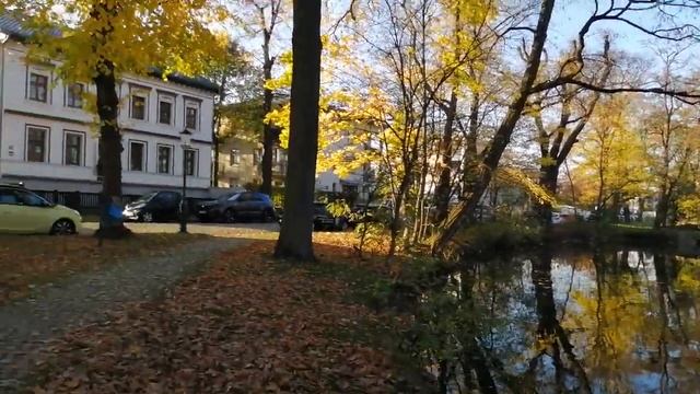 Прогулка возле пруда Шенефельд Германия смотреть онлайн