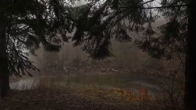 Видео дождя для сна и релакса|| Лучшее видео для сна 2021 смотреть онлайн