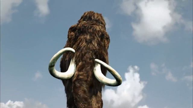 Слоны и мамонты – родственники или нет? Elephants and mammoths – relatives or not? смотреть онлайн
