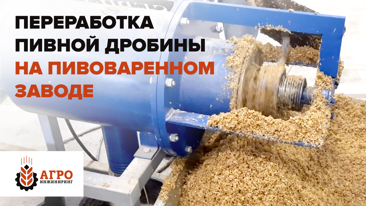 Линия по переработке пивной дробины на пивоваренном заводе в Краснодарском крае. смотреть онлайн