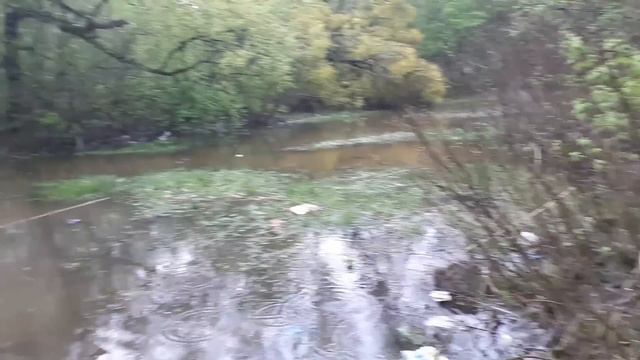 ЦІЙ ЖІНЦІ НІЧОГО РОБИТИ- НАБРАЛА ПО ПОВНОМУ.. смотреть онлайн