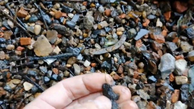 Поиск с ситом и лопатой на новом месте смотреть онлайн