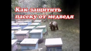 КАК ЗАЩИТИТЬ ПАСЕКУ ОТ МЕДВЕДЯ, ЭЛЕКТРО ПАСТУХ Статик -3М