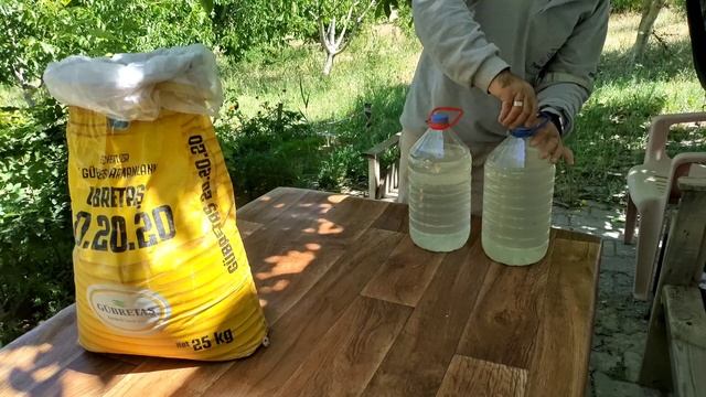 Üç Yirmi (20+20+20) NPK Gübre Nasıl Uygulanır✅