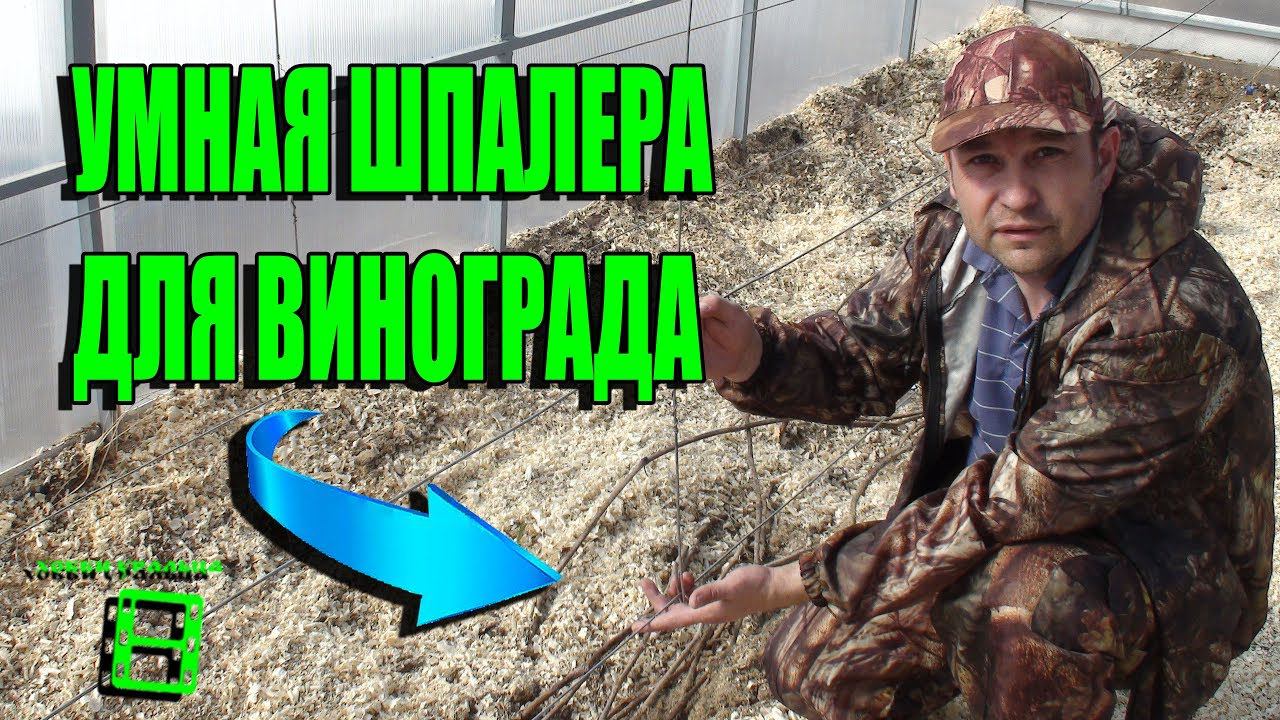 УМНАЯ ШПАЛЕРА ДЛЯ ВИНОГРАДА В ТЕПЛИЦЕ. ВЫРАЩИВАНИЕ ВИНОГРАДА В ТЕПЛИЦЕ. СЕВЕРНЫЙ ВИНОГРАДНИК смотреть онлайн