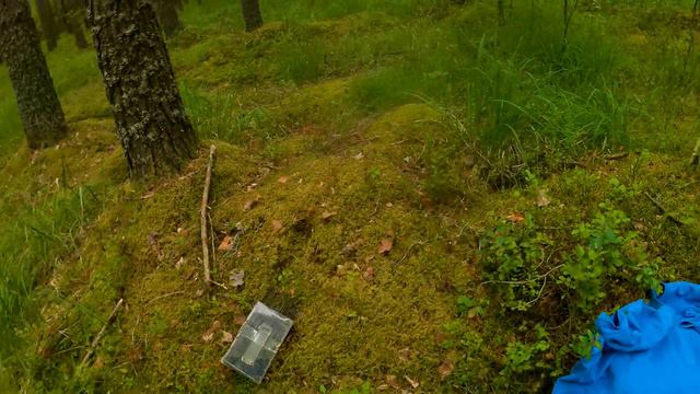 Домой без клещей смотреть онлайн