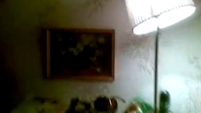 Саша и Винни-Пух.mp4 смотреть онлайн