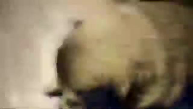 абзор на мопса под бангаранг смотреть онлайн