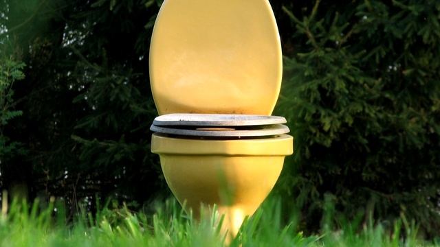 ЧТОБЫ УЛИЧНЫЙ ТУАЛЕТ НЕ ВОНЯЛ НАСЫПЬТЕ ЭТО В ДЫРКУ ТУАЛЕТА! ЗАПАХА ТУАЛЕТА БОЛЬШЕ НЕ БУДЕТ! смотреть онлайн