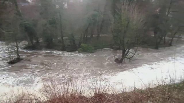Река Нагольд (Nagold) зимой. Пфорцхайм (Pforzheim). Германия (Deutschland). смотреть онлайн