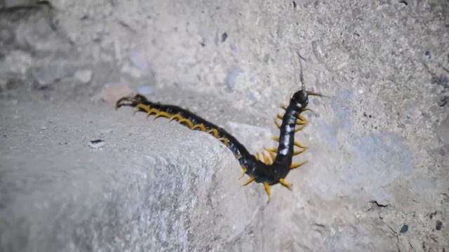 Экономия на мебели и домашней атмосфере