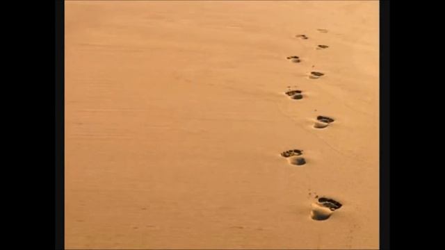 Walking with God... смотреть онлайн