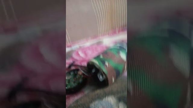 Схемы подключения выключателей и датчиков