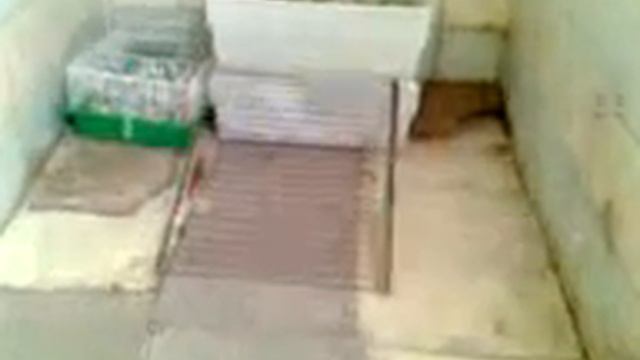 Attack Trained Rats Vol 4 Praia Grande смотреть онлайн