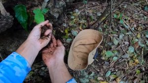 ВЫЖИВАНИЕ с Рогаткой для подводной охоты на необитаемом острове . Гавайка Слинг. №45