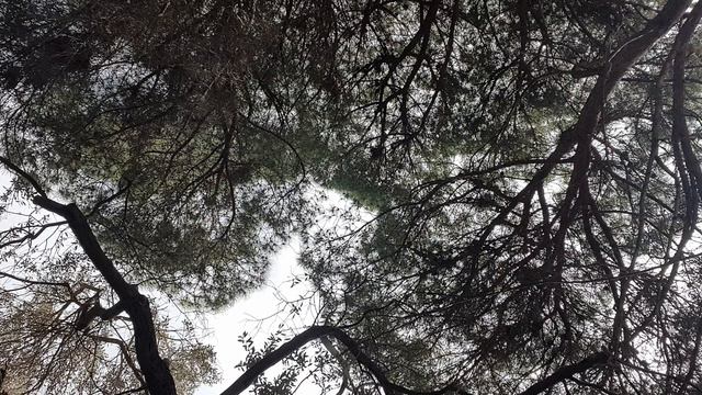 Евангелие от Иоанна глава 12 смотреть онлайн