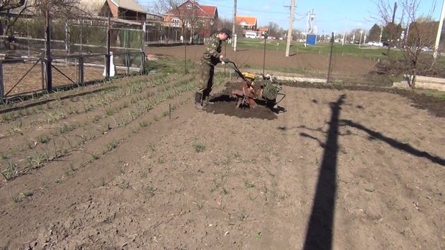 Первый пуск мотоблока после зимы. Обработка почвы под посадку картофеля смотреть онлайн