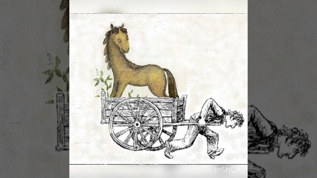 Все кувырком (Сон ворона с иллюстрациями) смотреть онлайн