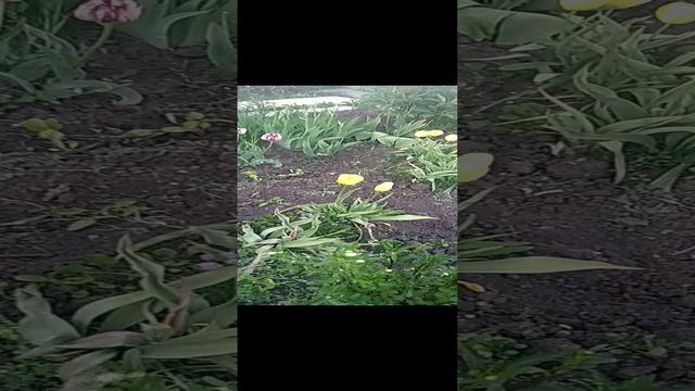 VID_20220602_191942 смотреть онлайн