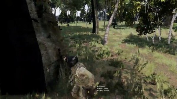 Task Force Eclipse - Operation: Tiger Hunt I - Air Wing - A. Shadow