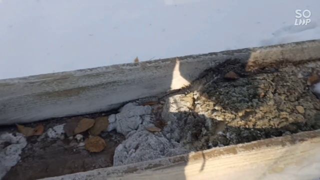 Тофалар 600 и солонец? смотреть онлайн