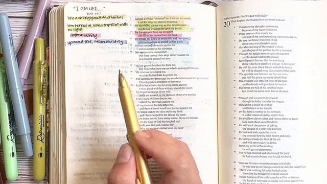 Study the Bible in One Year: Day 8 Job 17-20 | Bible study for beginners смотреть онлайн