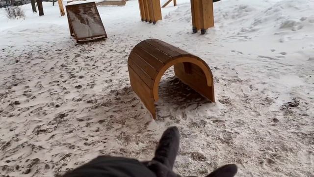 Влог выходного дня: чайная церемония, тренировка лабрадора и встреча с друзьями смотреть онлайн