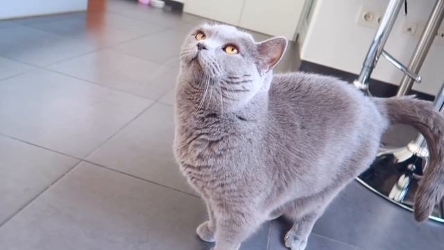 VLOG: В ПОСЛЕДНИЙ РАЗ! ХАУС ТУР! 27.03.18 смотреть онлайн