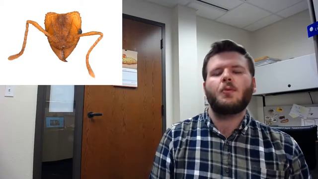 Blake Bringhurst - UT Tyler Grad School 180 (2021) смотреть онлайн