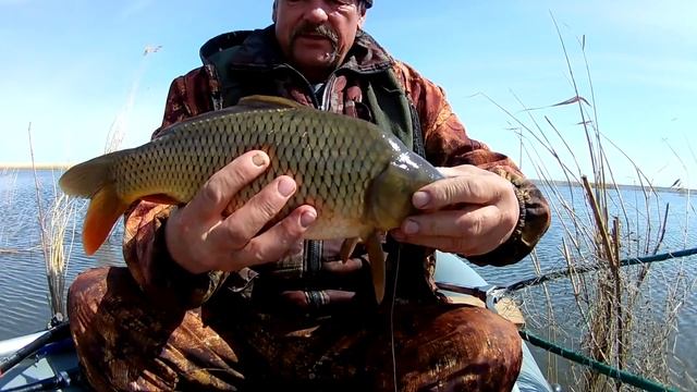 РЫБАЛКА НА УДОЧКИ, ЭТУ НАЖИВКУ КАРП ПРОГЛАТЫВАЕТ СРАЗУ, С ЛОДКИ НА ПОПЛАВОК! РЫБАЛКА В КАЗАХСТАНЕ! смотреть онлайн