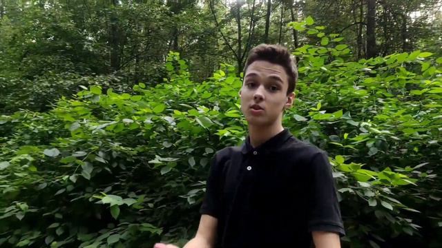 The Doodle - Молдован(Golden edition)(official video) смотреть онлайн