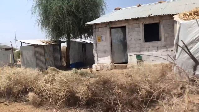 Kronprinsesse Mary Planter Håb