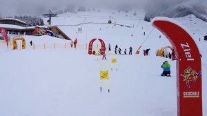 Соревнования. Слалом- гигант