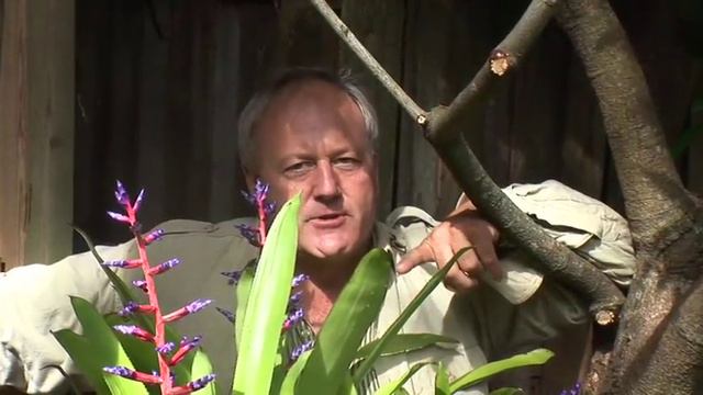 Randall Quirk Nature House Part 1 смотреть онлайн