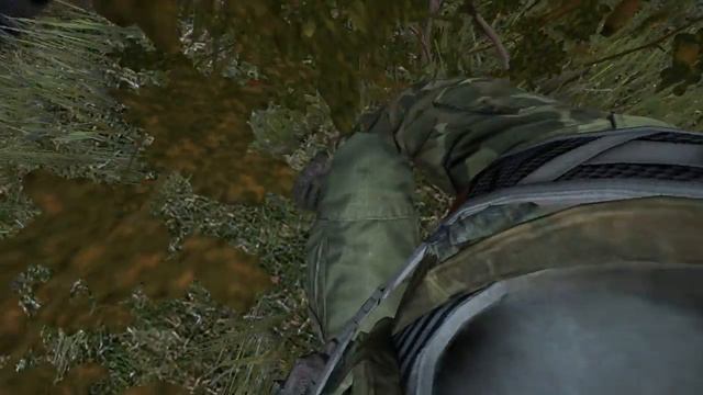 DayZ. Сбор ягод/berry picking смотреть онлайн