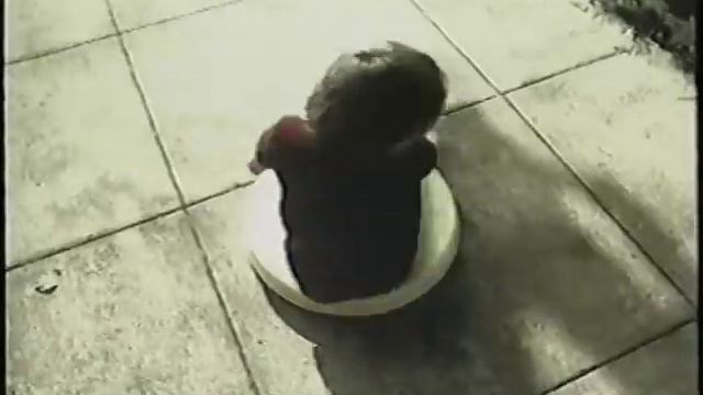 Mazda Commercial Zoom Zoom Zoom