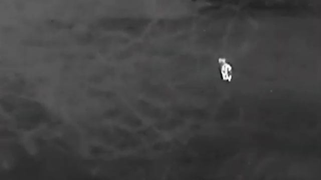 Hikmicro LH25 liška1 26102021 смотреть онлайн