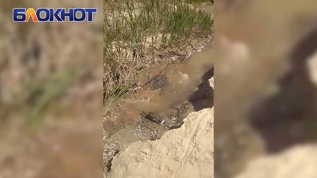 Подозрительный ручей из Волгодонска в Цимлянское водохранилище обнаружили очевидцы смотреть онлайн