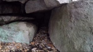 Ищу волчье логово/ ОХОТА НА ВОЛКА В БУРЯТИИ