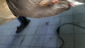 Rav4 V30. Сайлентблоки нижних продольных и верхних поперечных тяг, замена. Заметки.