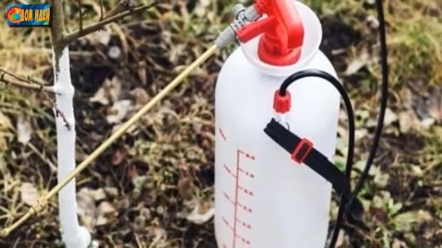 Мочевина / Особенности, польза, применение смотреть онлайн