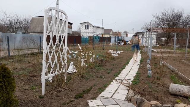 Апрель, жара +32, а мы сажаем