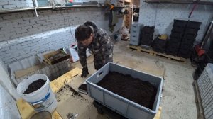 Разведение червя как бизнес