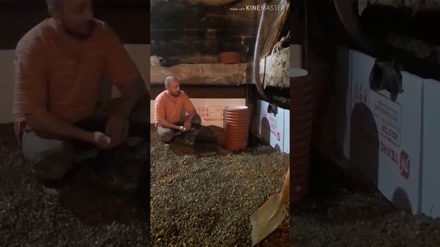 Углубление подвала смотреть онлайн